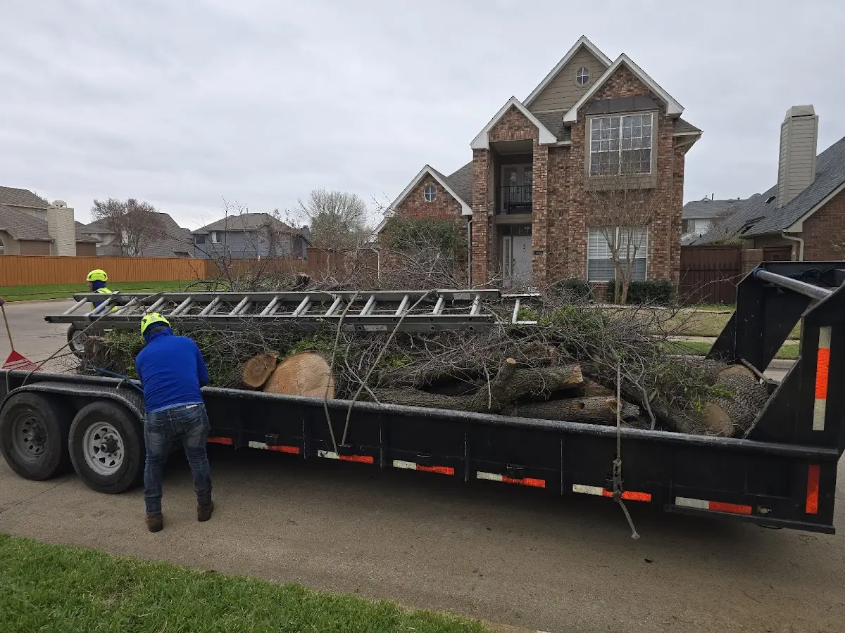 Expert Tree Fertilization with proper safety equipment in Yatesville